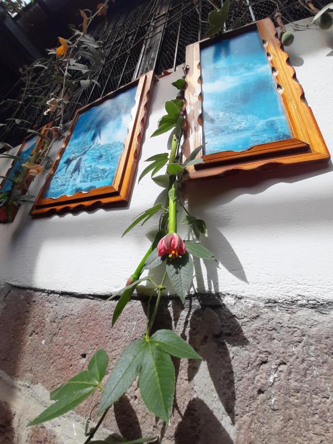 La Casa De Laura - Plaza Hotel Cusco Eksteriør billede
